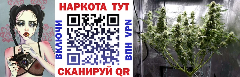 Где купить наркоту Дзержинский Псилоцибиновые грибы  mega сайт  А ПВП  ГАШИШ  Бошки Шишки  Меф мяу мяу 
