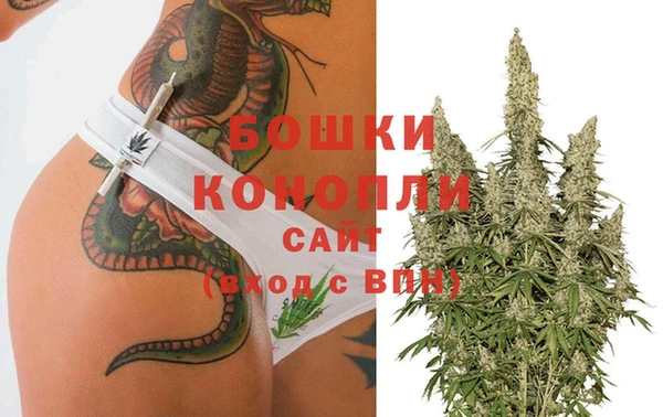 spice Алексин