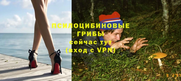 spice Алексин