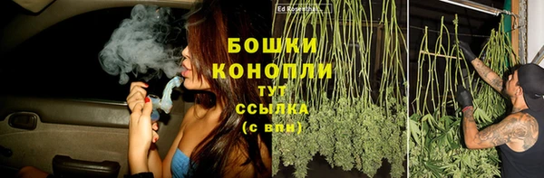 spice Алексин