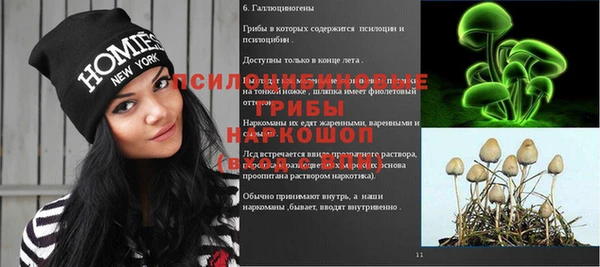 spice Алексин