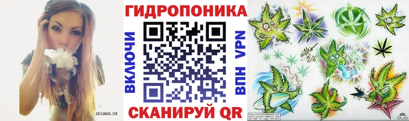 МЕГА ссылка  даркнет сайт  Дзержинский  Канабис SATIVA & INDICA 